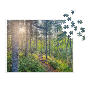 Puzzles
