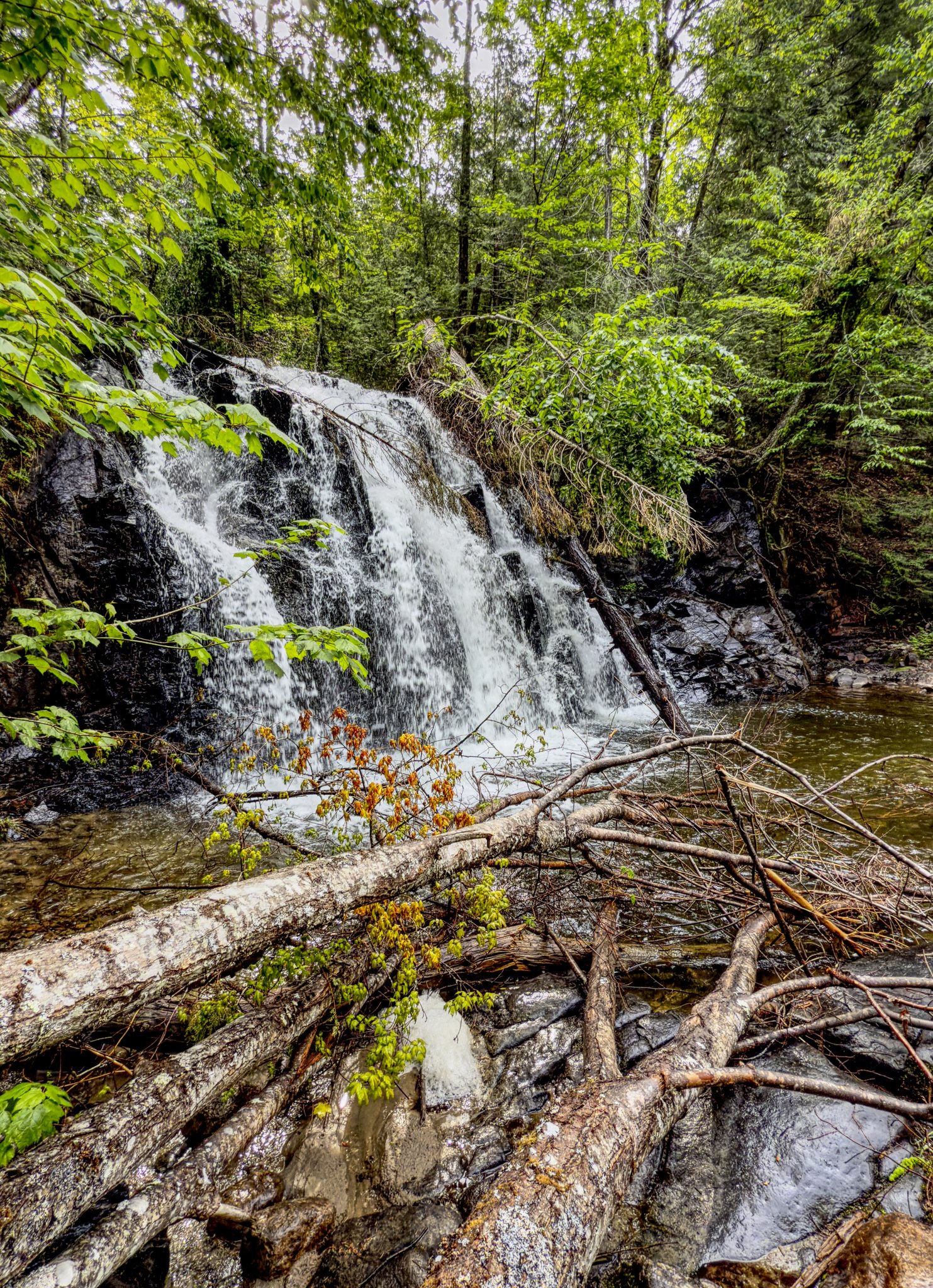 robertson creek falls robertson creek falls