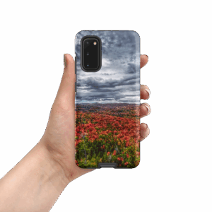 Phone Cases