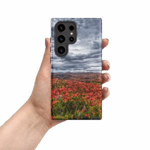 eagle's ridge fall colours tough case for samsung®