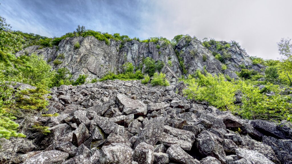 Looking Up At Robertson Cliffs From The Below The Cliffs Trail