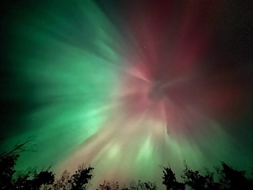 Aurora Borealis Overhead Near Lake Superior Provincial Park