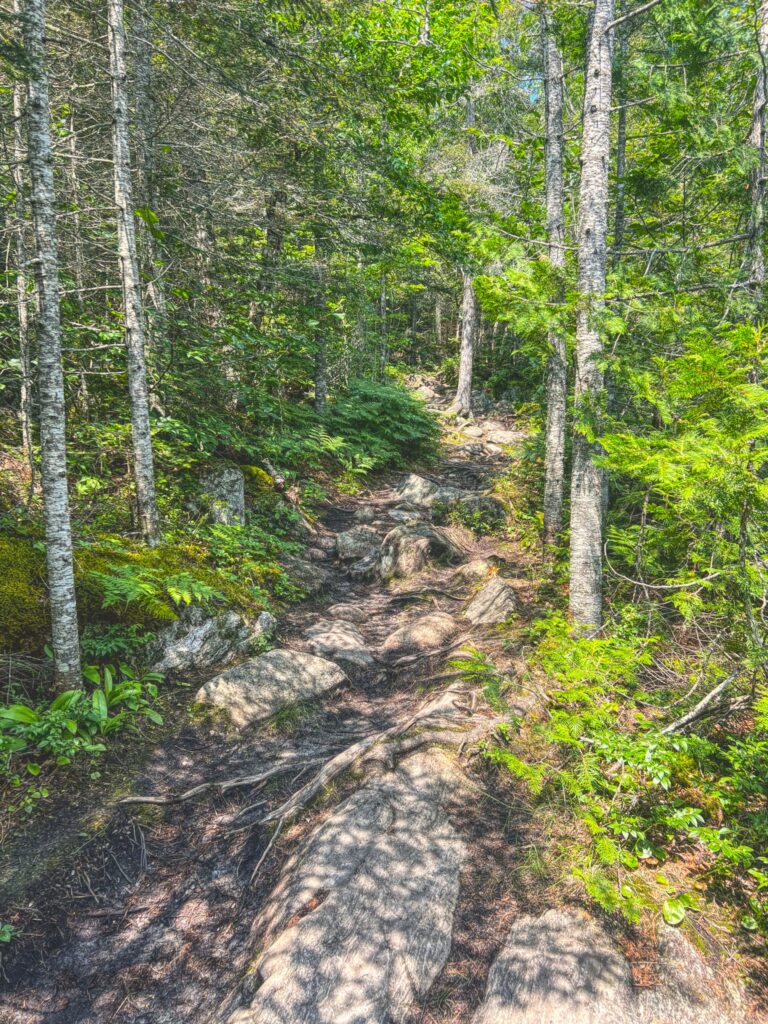 typical section of the sand river trail