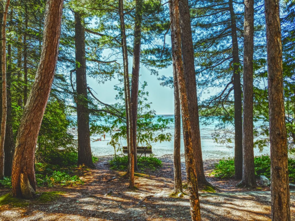 katherine cove pine tree trail